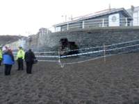 Tide Damage 2014