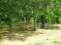 Flooding 2012