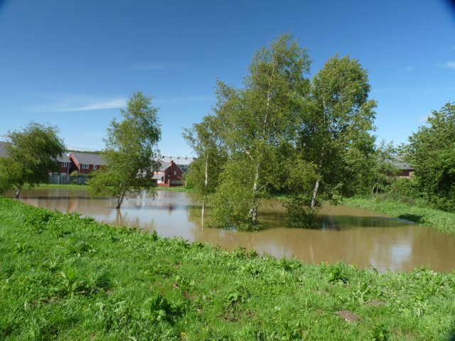 p1330163.jpg