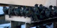p1170126b_small.jpg