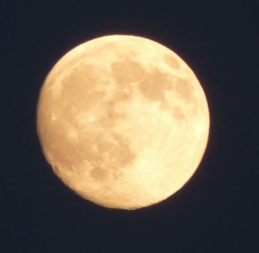 p1170143b.jpg
