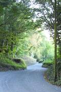Road to Clarach