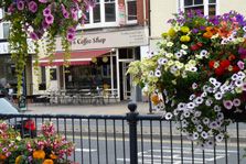 Lilly's Coffee Shop