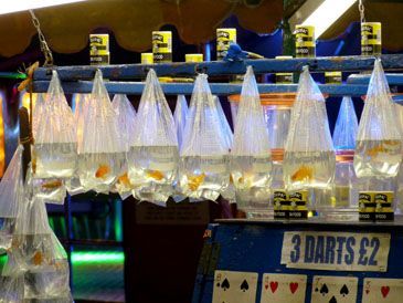 Aberystwyth Fun Fair