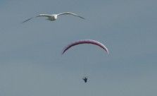 Paragliding in Aberystwyth