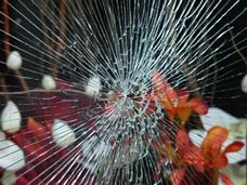 Broken Shop Windows
