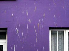 Guano Walls - Do Dulux do a guano range?