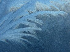 Frigid Houses