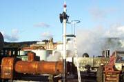 Narrow Gauge Train
